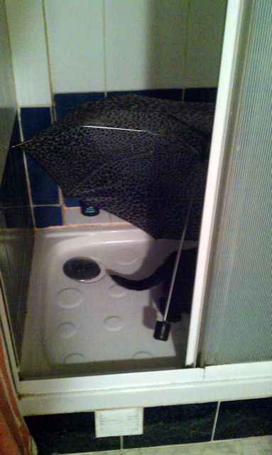2010-12-19 Maintenant j suis trop con_l.jpg
